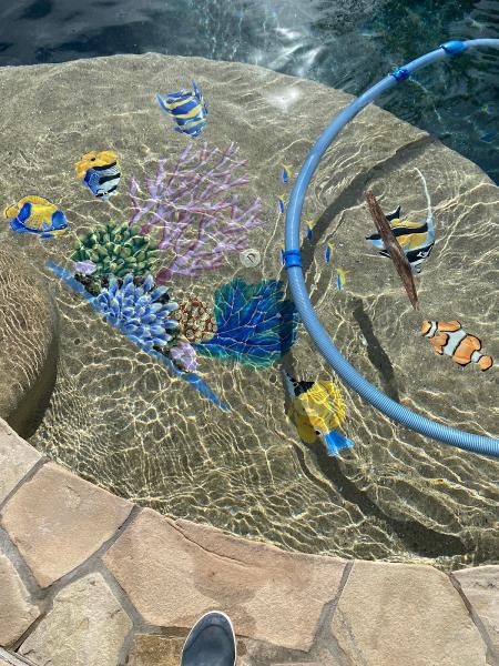 Vision Pool Services