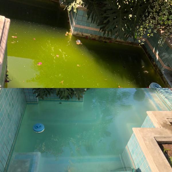 Vision Pool Services