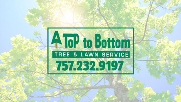 A Top to Bottom Tree & Lawn Service LLC