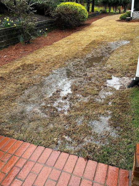 Pride In Turf Lawn Care Hoschton