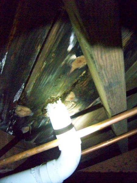 Happier Home Inspections
