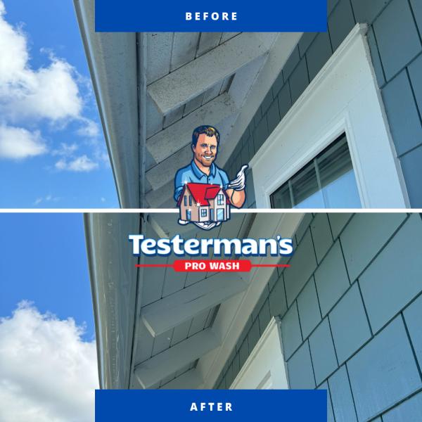 Testerman's Pro Wash