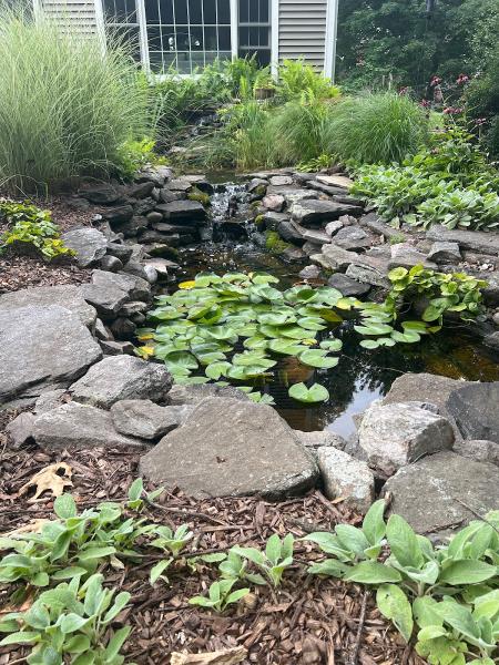 Action Water Gardens Inc.