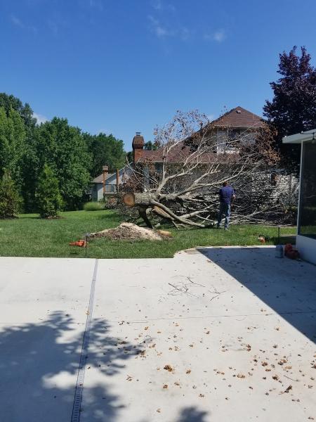 Brock's Tree Service