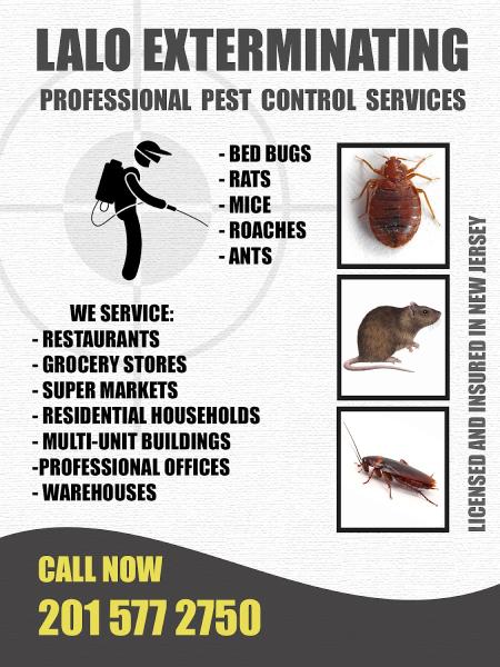 Lalo Exterminating / Pest Control Services