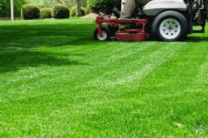 Omasta Landscaping Inc