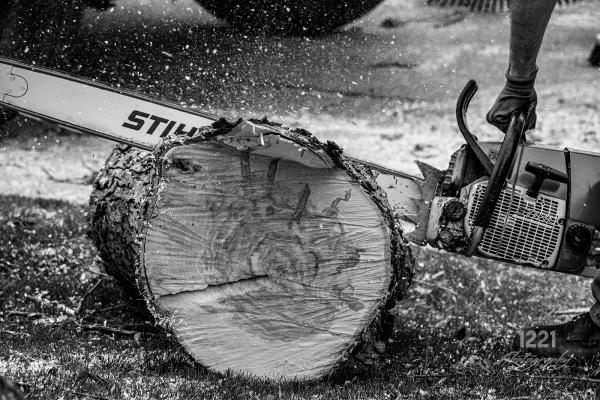 Jeff Berkler Tree Service