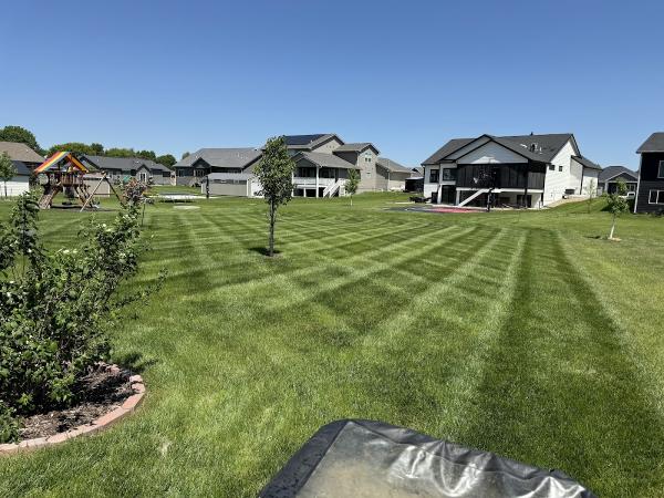 Sutter Lawns