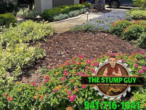 The Stump Guy
