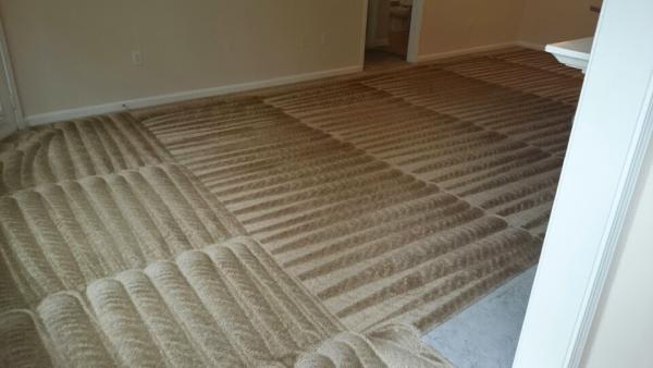 D & M Carpet Cleaning