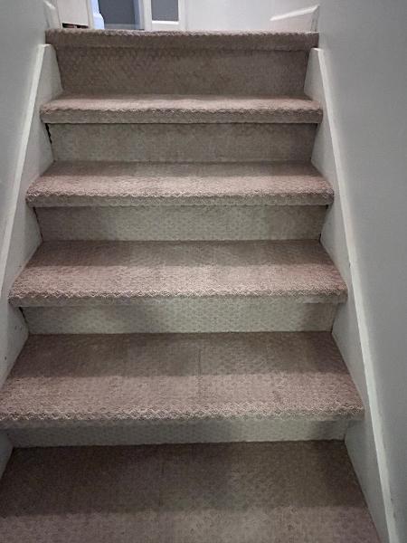 D & M Carpet Cleaning