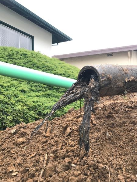 Quality Plumbing & Drain Service
