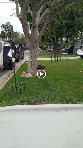 Boss Cleaning Solutions Llc-Junk Removal Ontario