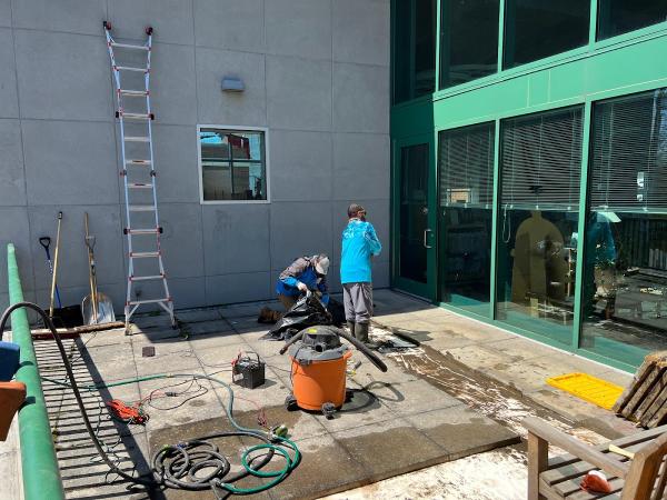 No Streaks Window & Roof Cleaning