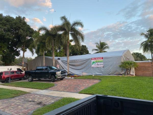 Hitman Termite & Pest Control