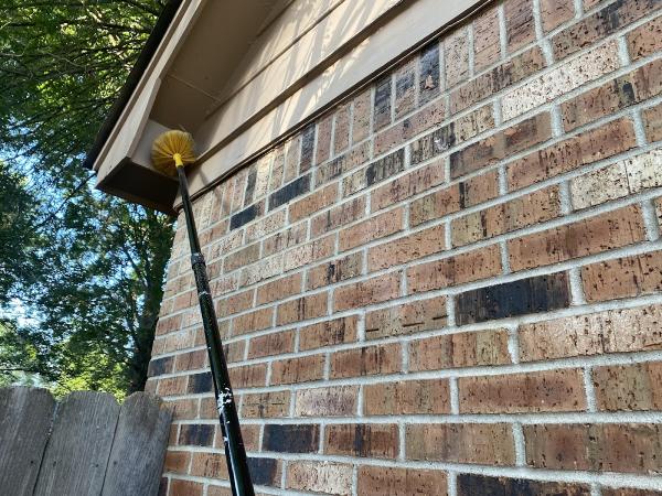 Marvelous Pest Solutions