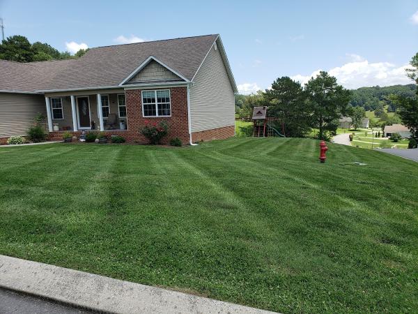 Sean's Lawns