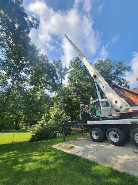 Asap Tree and Crane Services