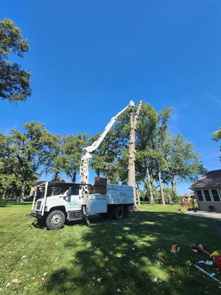 Asap Tree and Crane Services