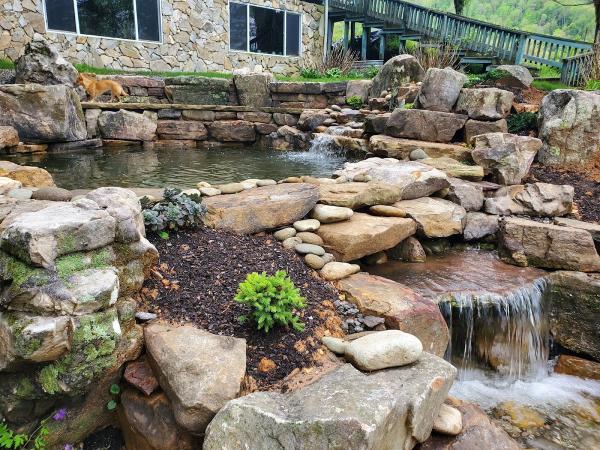 Living Waters Landscaping