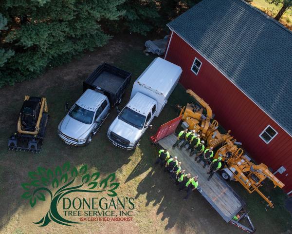 Donegan's Tree Service
