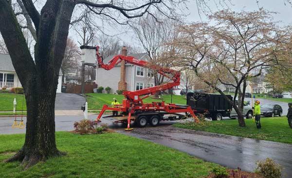 Donegan's Tree Service