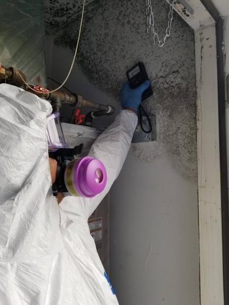 MW Fire & Water Restoration