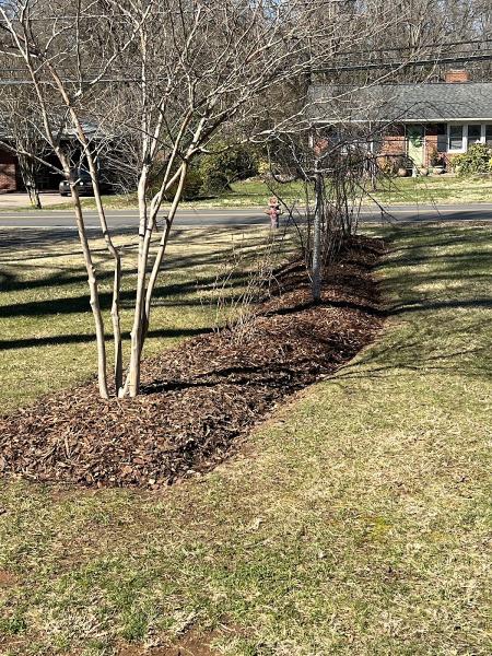Bmw's Landscaping