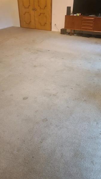 Fresh Start Carpet & Upholstery Cleaning
