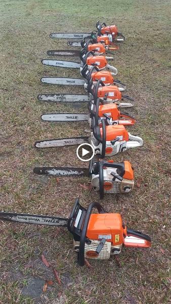 Wainwright Tree Services