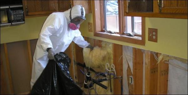 Certified Mold Inspection and Remediation Services