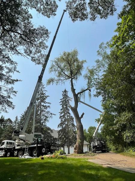 Grizzly Tree Care