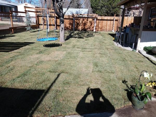 VP Landscaping & Lawn SVC