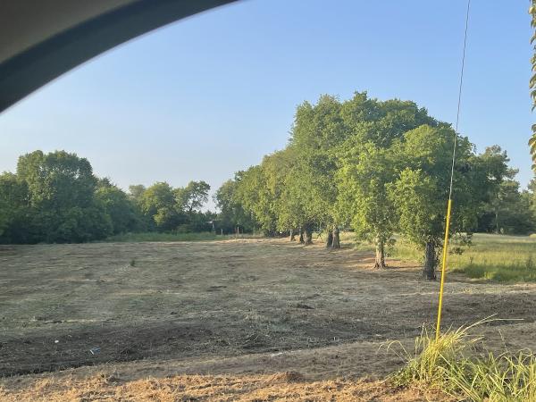 Burgess Land Management