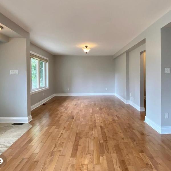 Luxury Color Painting Renovation