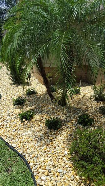 Lawn Pro's Irrigation & Landscape Inc.