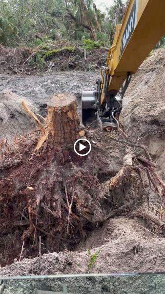 Suncoast Excavating Services Llc