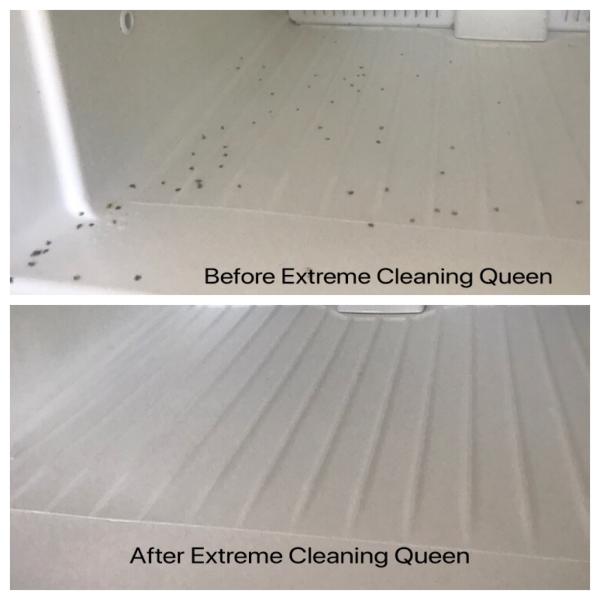 Extreme Cleaning Queen
