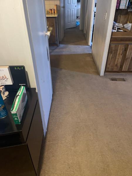 Sterling Carpet Care