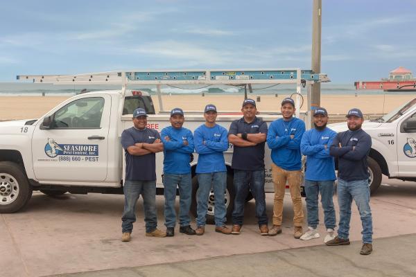 Seashore Pest Control