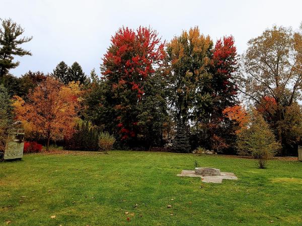 Joyce Gardens and Landscape