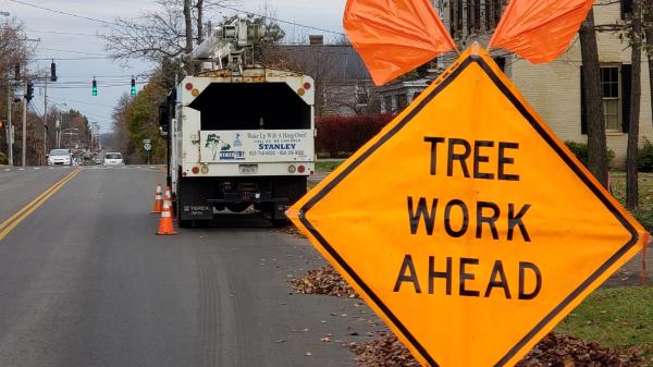 Stanley Professional Tree Service