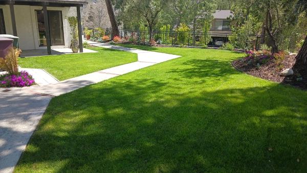 Genesis Lawn Care