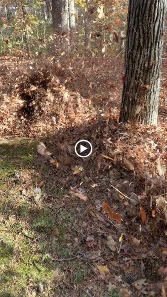 Mitchell's Lawn Care Service LLC