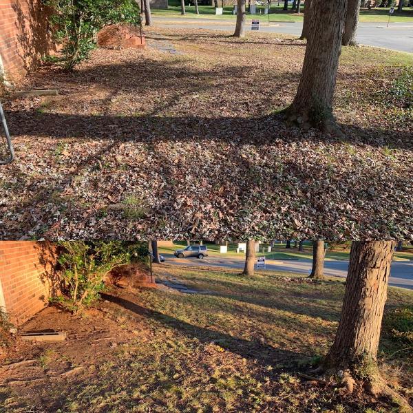 Mitchell's Lawn Care Service LLC