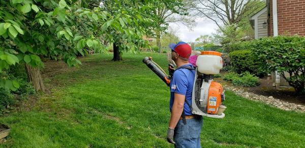 American Landscapes LLC