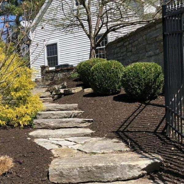 American Landscapes LLC