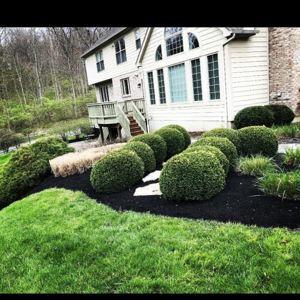 American Landscapes LLC