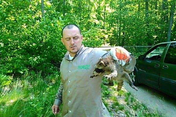 Precision Pest Control
