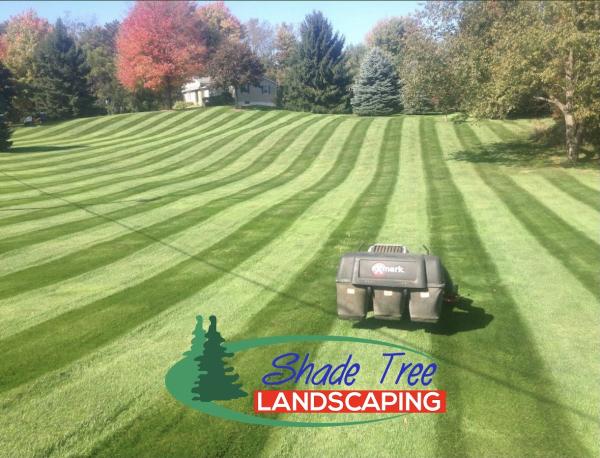 Shade Tree Lawn & Landscaping LLC